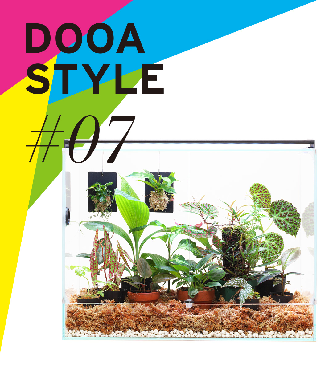 DOOA STYLE #7 ‘A living room for Jungle Plants’