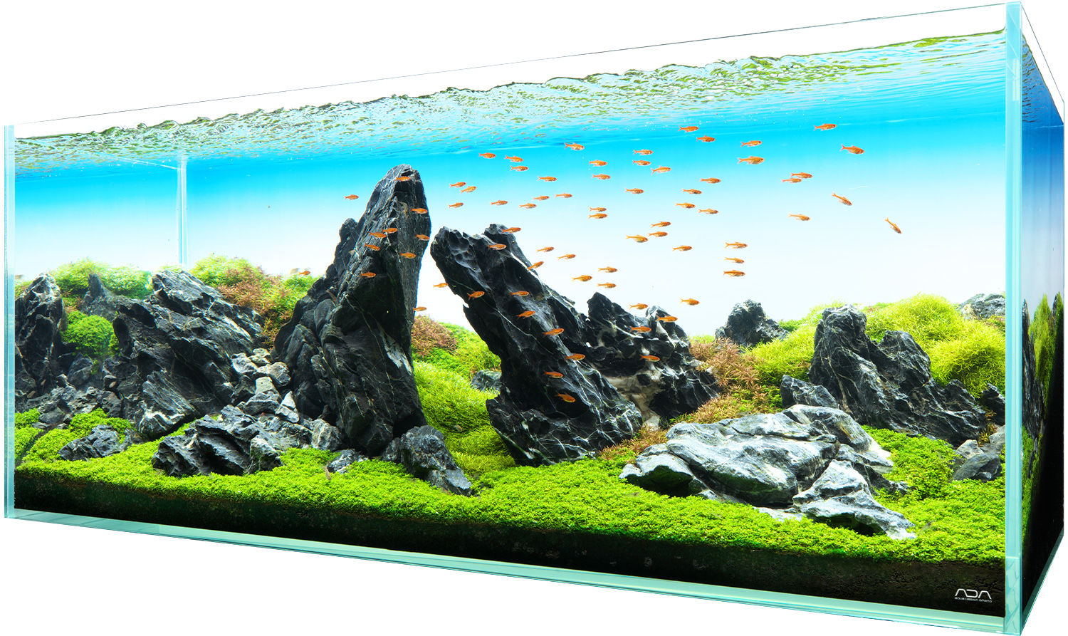 Great Iwagumi layout, the black - Aquarium Gardens