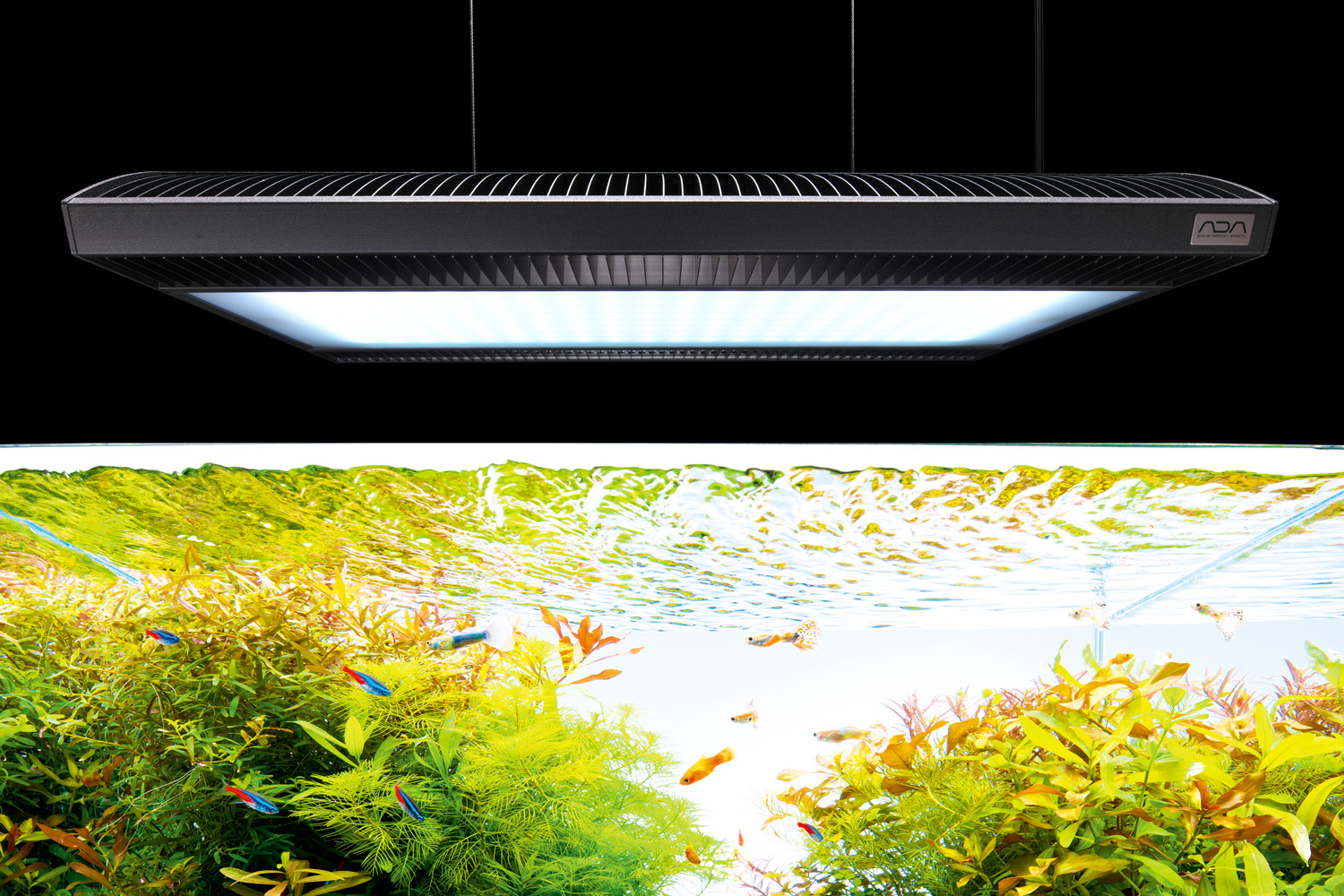 NA PRODUCTS STORY #01 SOLAR RGB | en NA PRODUCTS STORY #01 SOLAR RGB | en