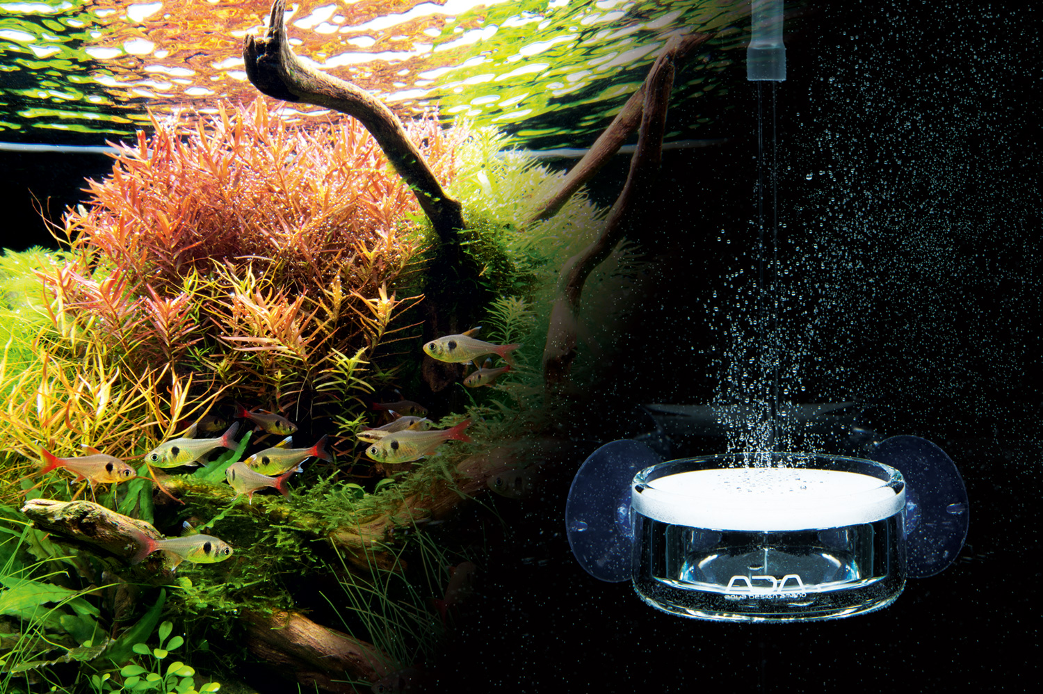 NA PRODUCTS STORY #03 'POLLEN GLASS SERIES' | en NA PRODUCTS STORY #03 'POLLEN GLASS SERIES' | en
