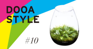 DOOA STYLE #10 ‘Cherishing small Cryptocoryne in a spathe-like glass container’