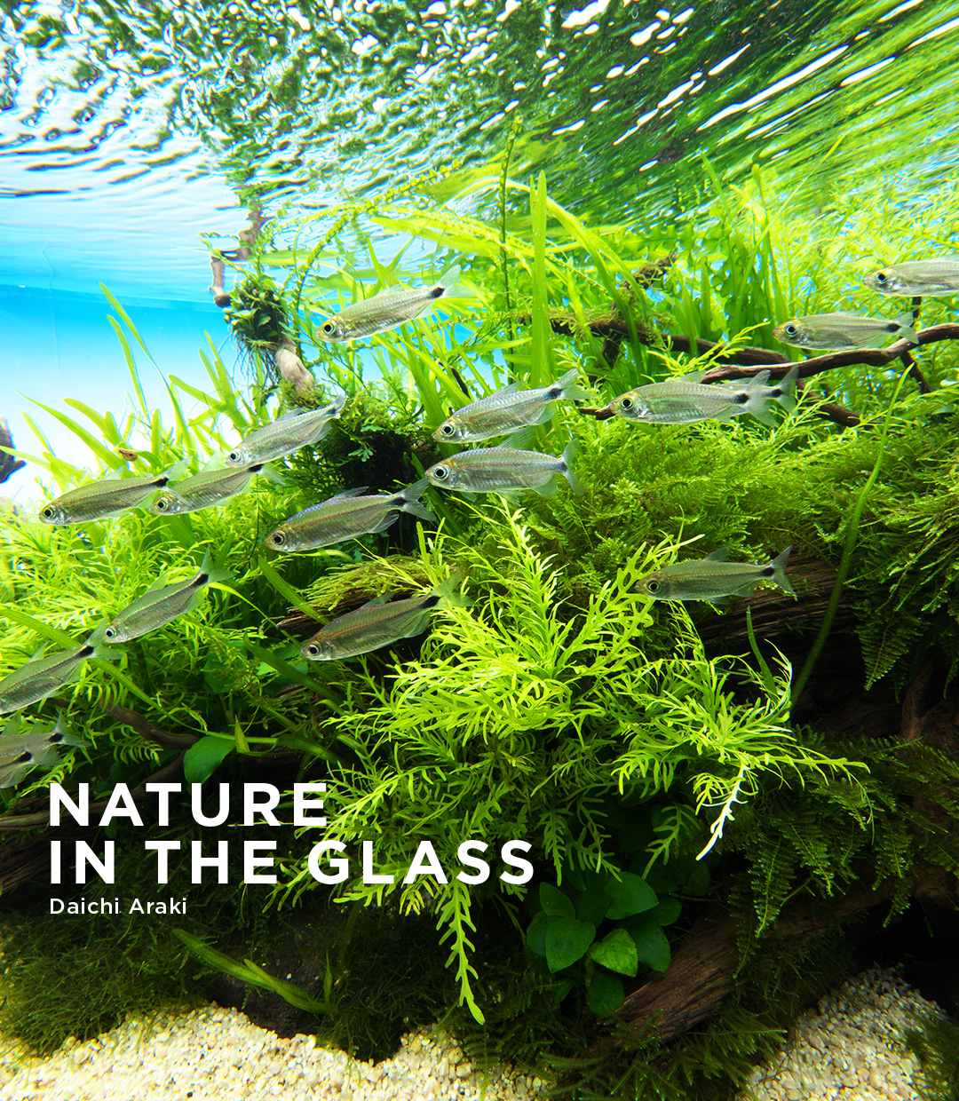 NATURE IN THE GLASS ‘Nestling up to an old tree’