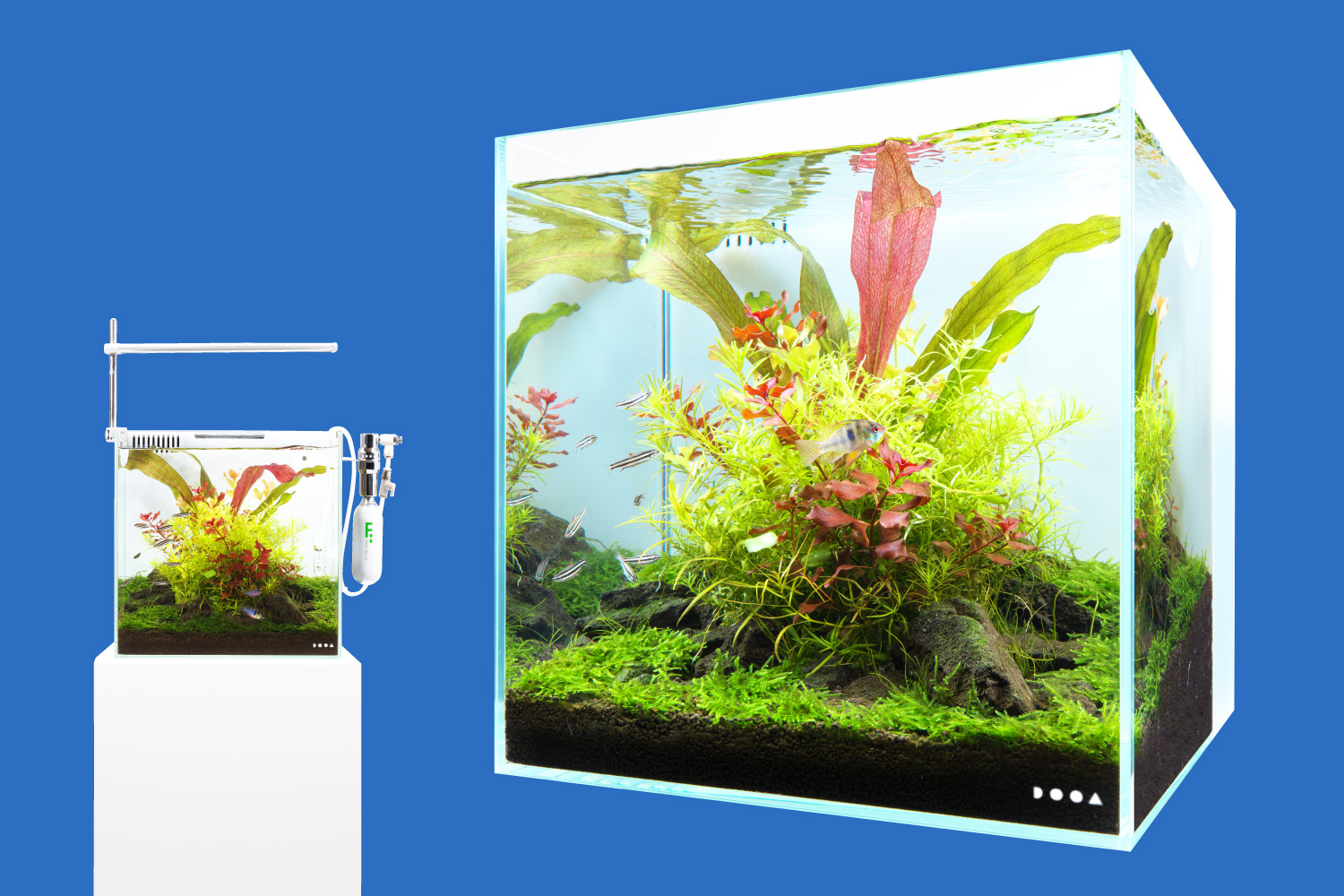 DOOA SYSTEM TERRA 30 - Mistflow SET – Aqua Forest Aquarium