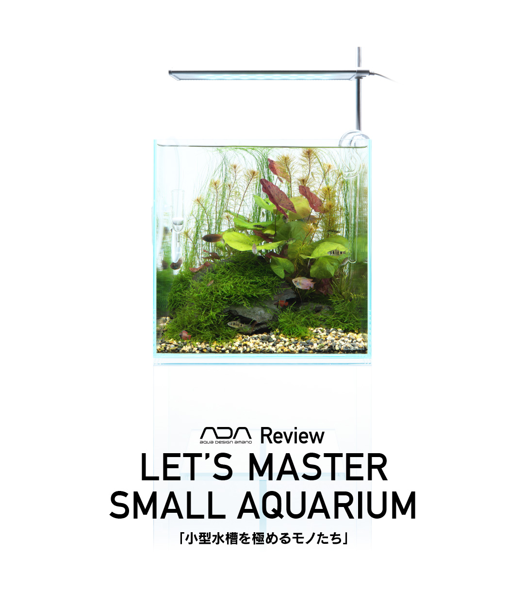 ADA Review ‘Items to master small aquarium’