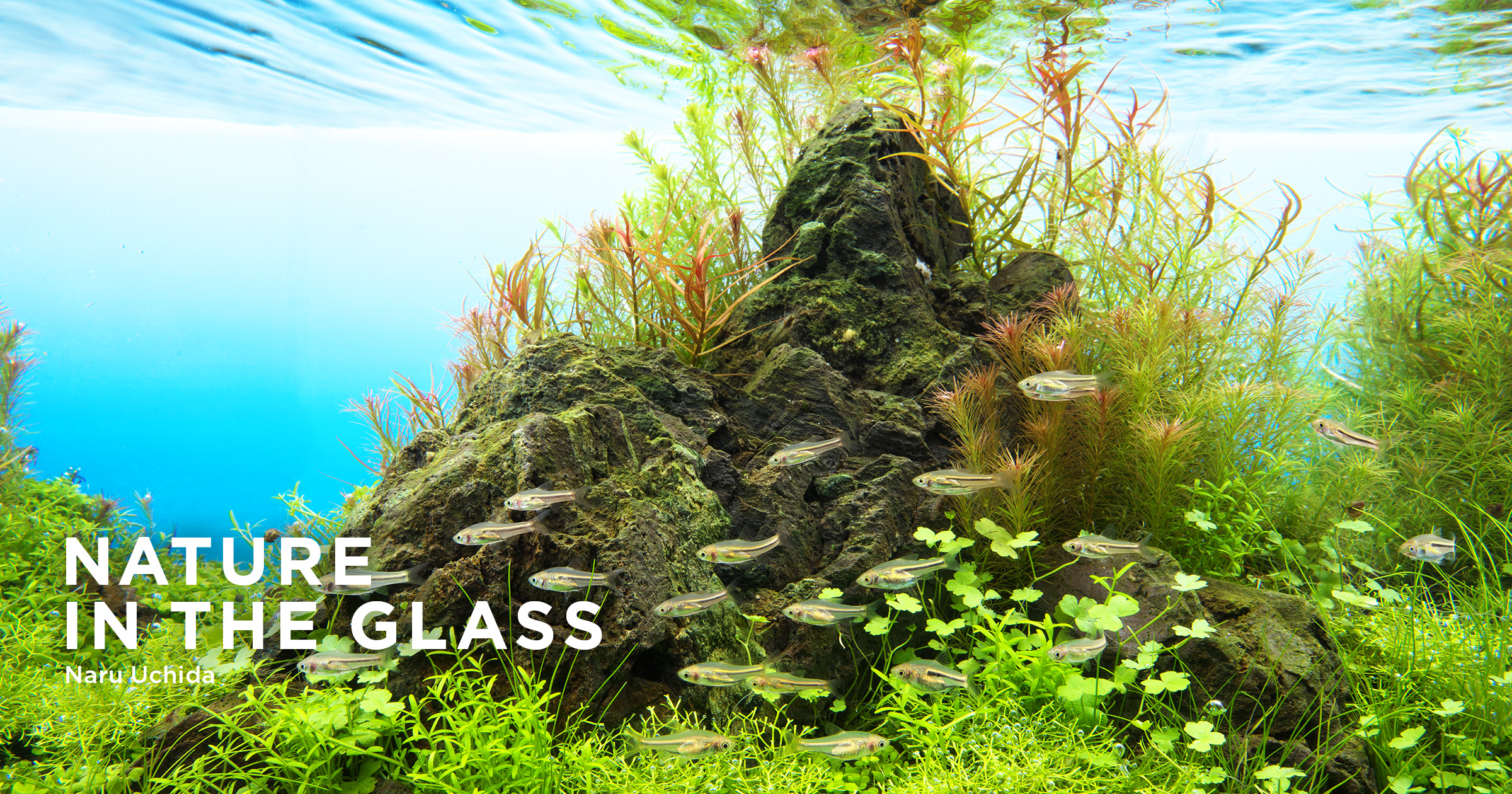 NATURE IN THE GLASS 'Guardian Stone' | en