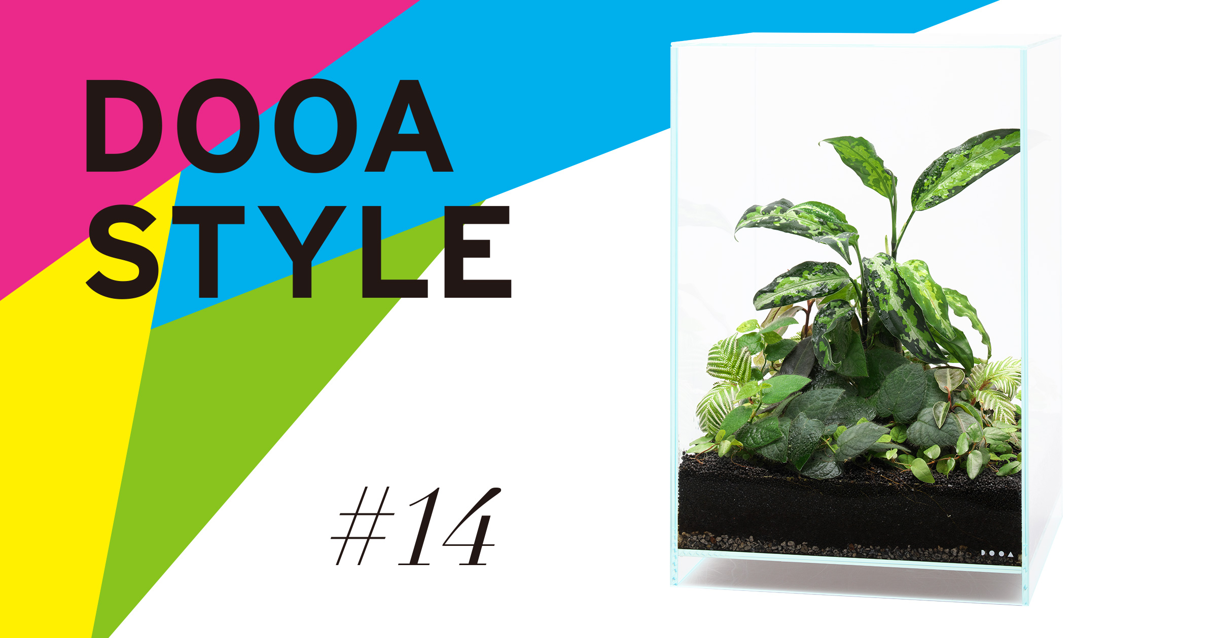 DOOA STYLE #14  Creating a Paludarium without using composition materials