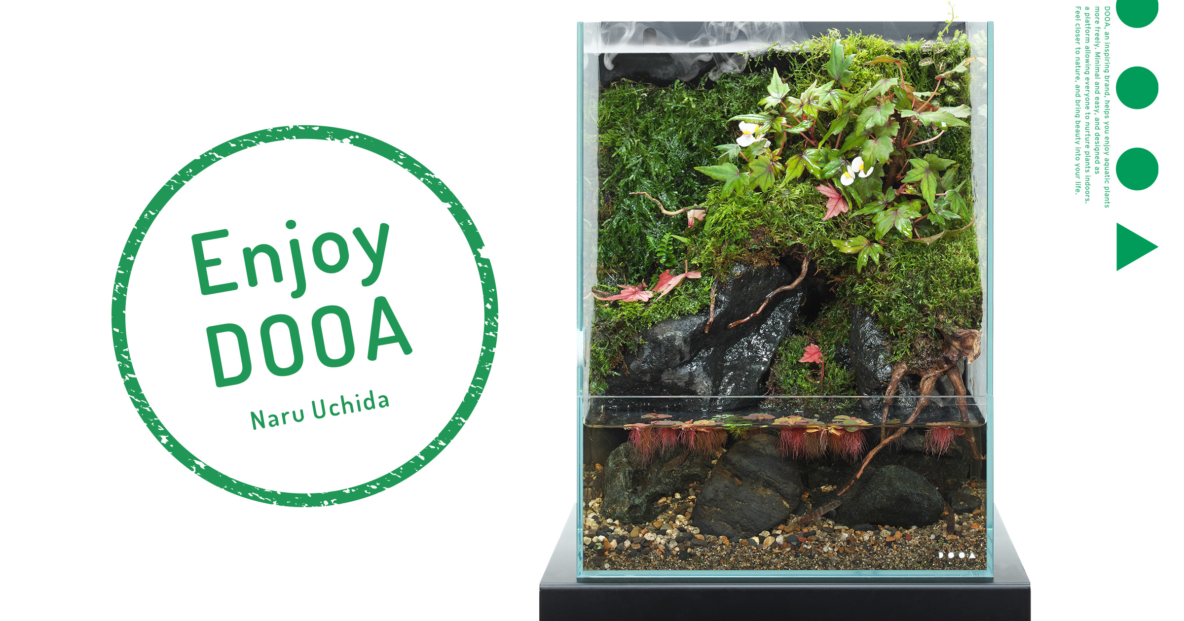 Enjoy DOOA ‘Enjoying small Begonia species as an expression of scattered maple leaves’