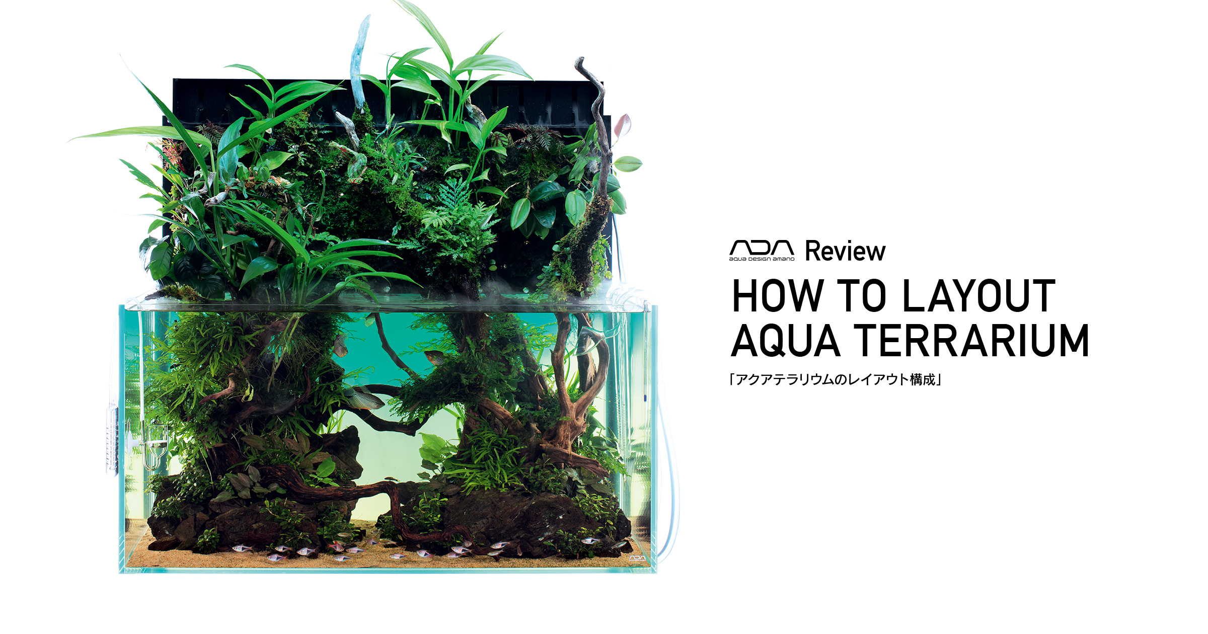 ADA Review “Layout Composition of Aqua Terrarium”