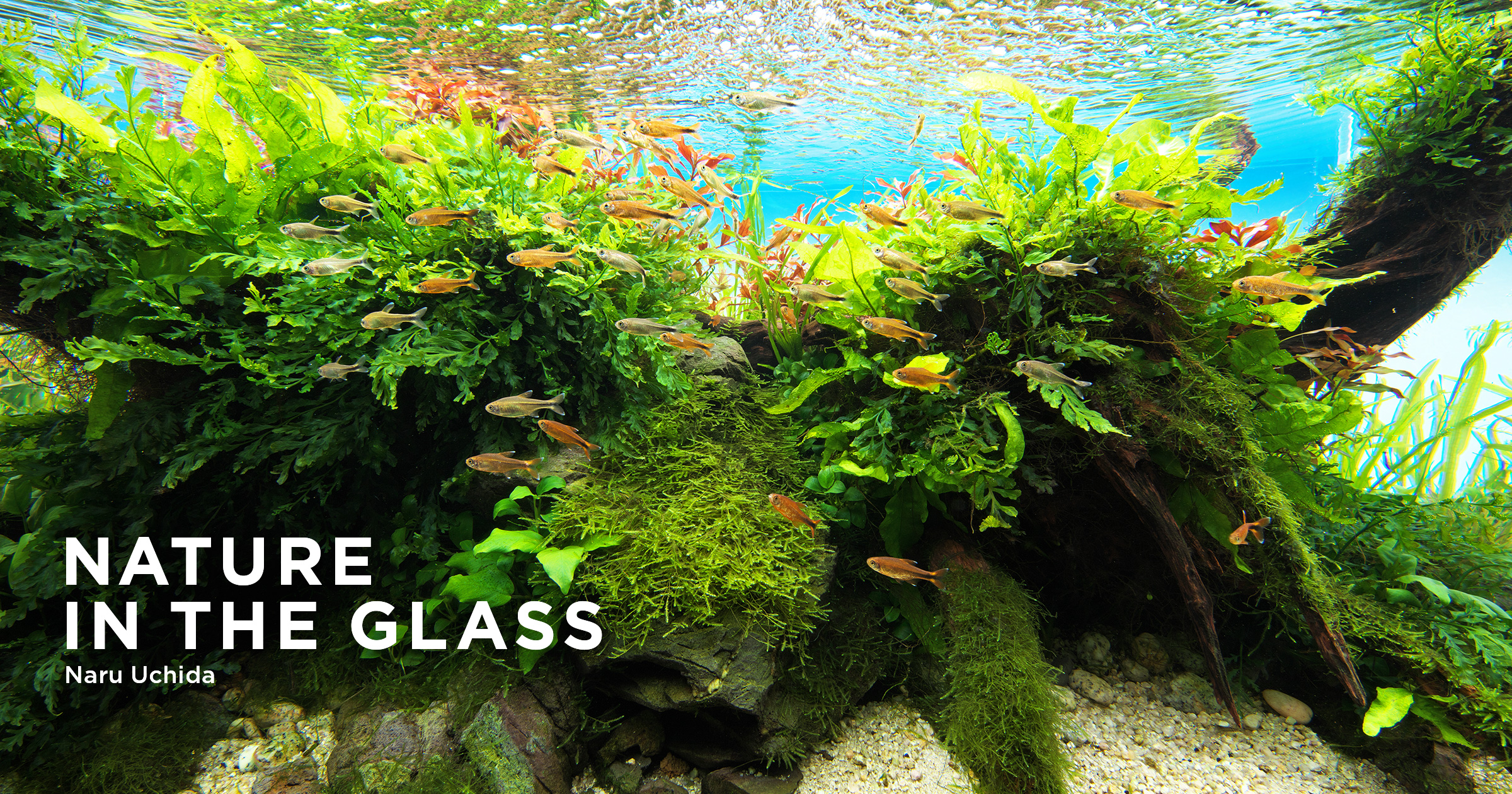 no.0287 水彩のカーネリアンとアクアテラ no.0287 水彩のカーネリアンとアクアテラ-純正正規