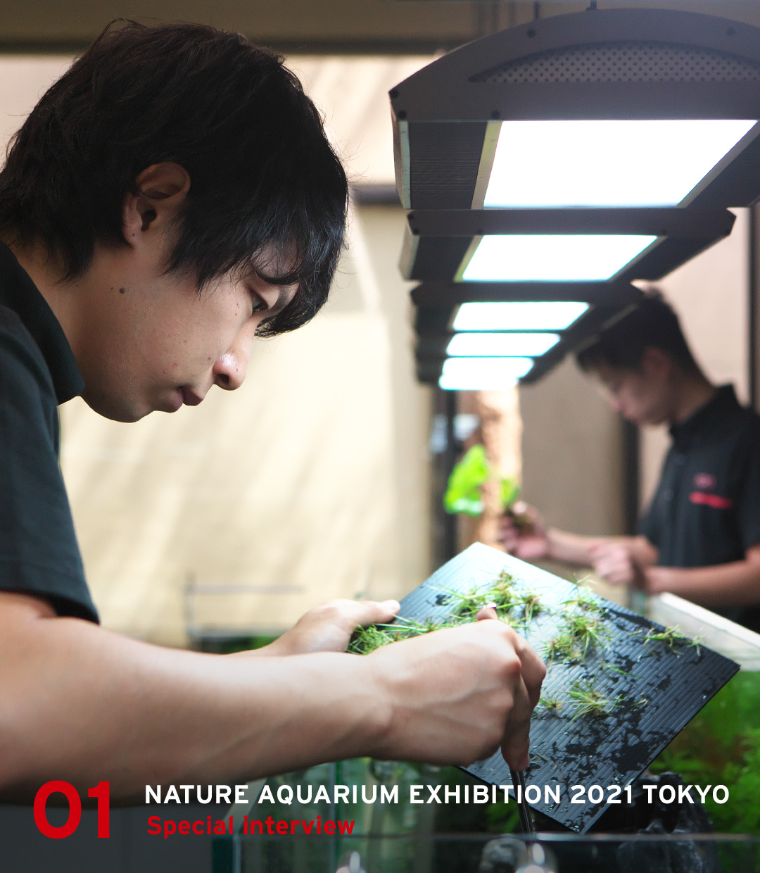 NATURE AQUARIUM EXHIBITION 2021 TOKYO Special interview: Naru Uchida & Daichi Araki