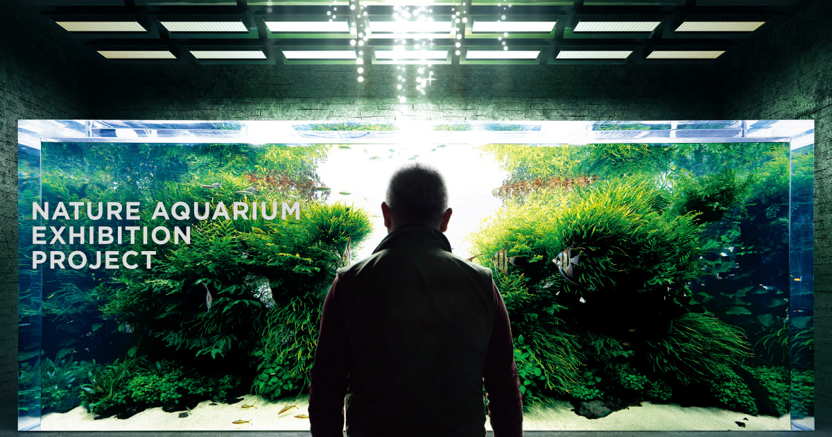 NATURE AQUARIUM EXHIBITION PROJECT 'Trajectory of Nature Aquarium