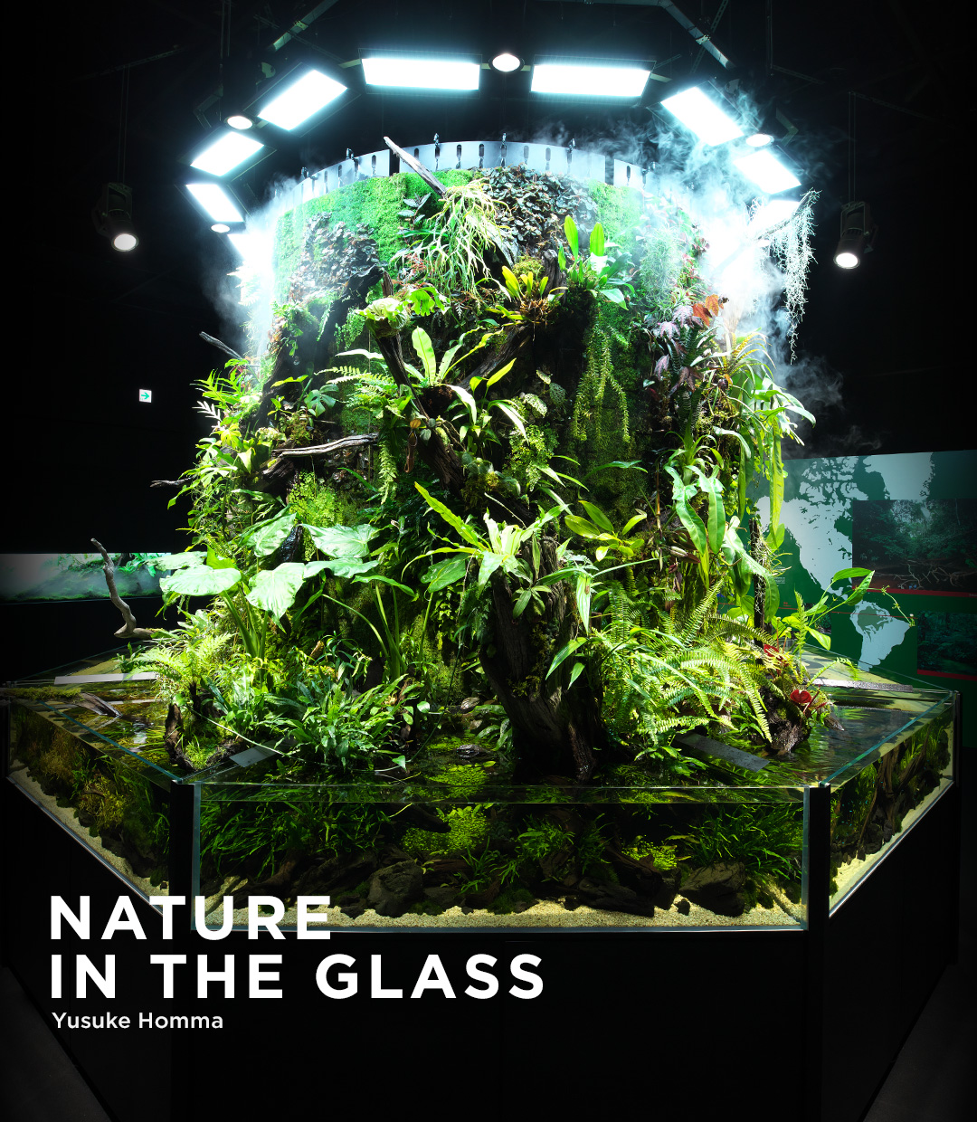 NATURE IN THE GLASS ‘Invitation To Tropical Rainforests’