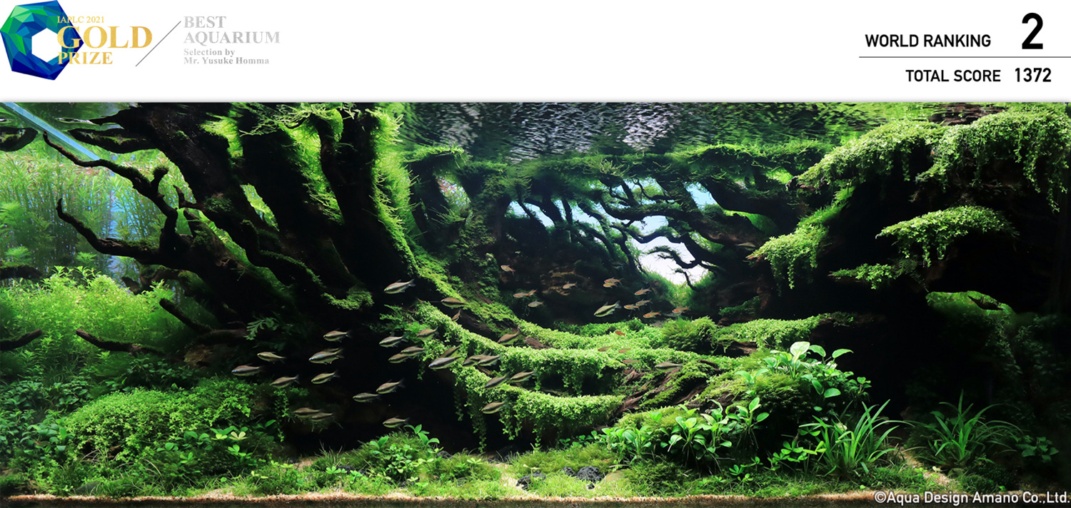 Top aquarium 2025