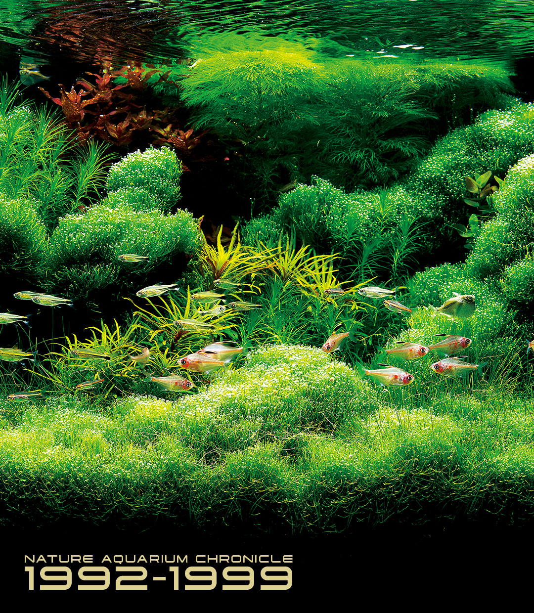 NATURE AQUARIUM CHRONICLE 1992-1999