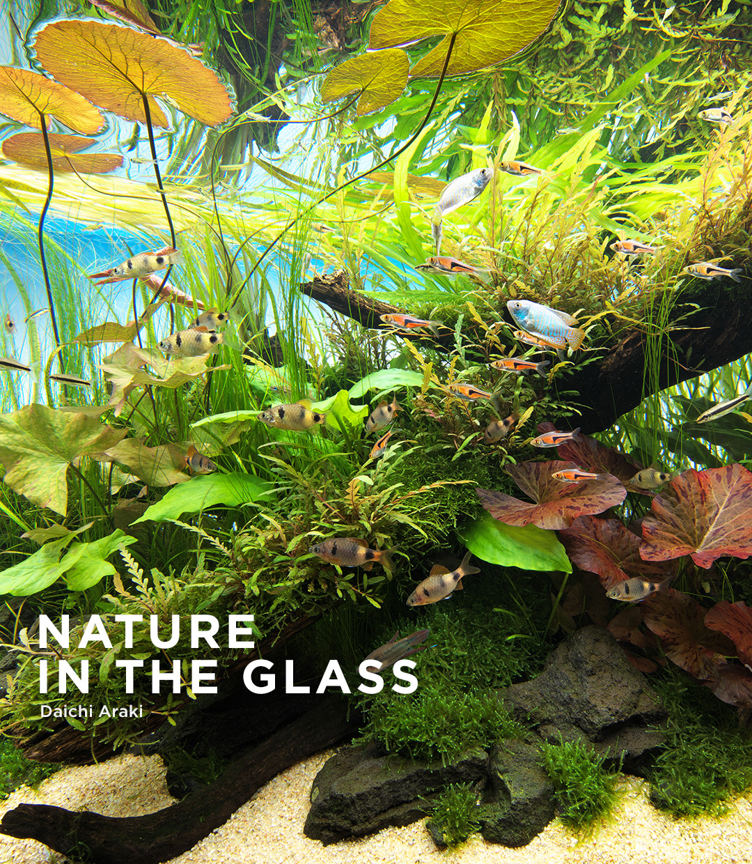 NATURE IN THE GLASS ‘Habitat’