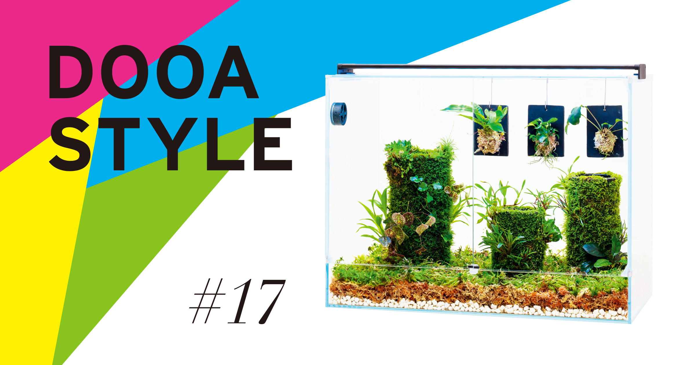 DOOA STYLE #17  Mysterious world in which small epiphytes grow