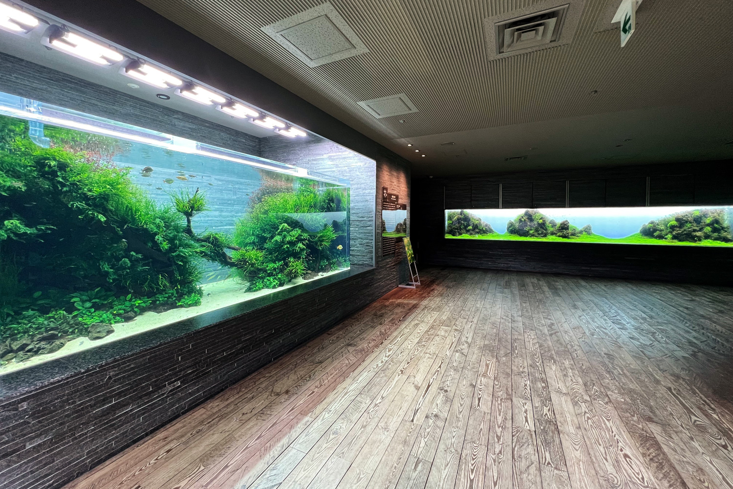 SUMIDA AQUARIUM Vol.08 | ADA