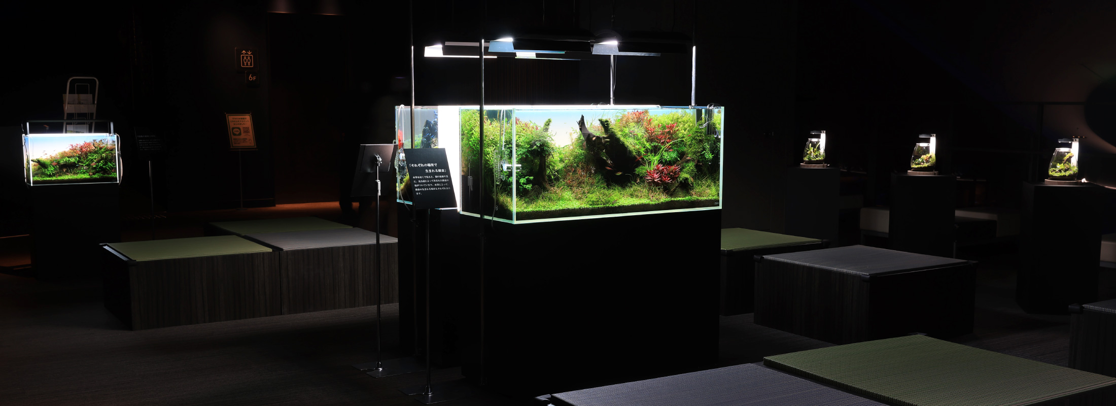 ADA EVENT REPORT  Sumida Aquarium “An aquarium where you can take a deep breath while seeing and feeling how living creatures breathe – The Breathing of Natural Aquascape”