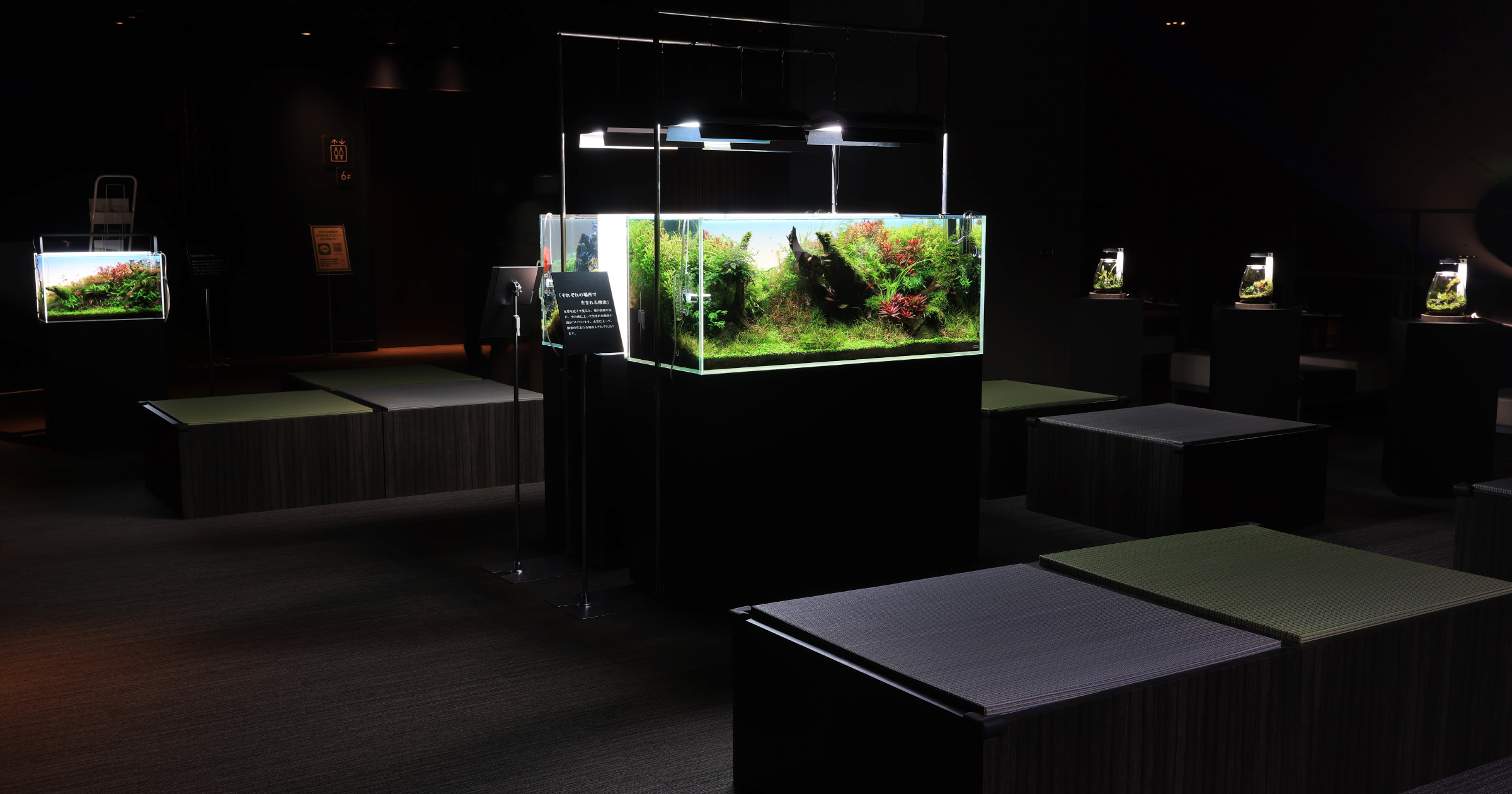 ADA EVENT REPORT Sumida Aquarium “An aquarium where you can take a deep