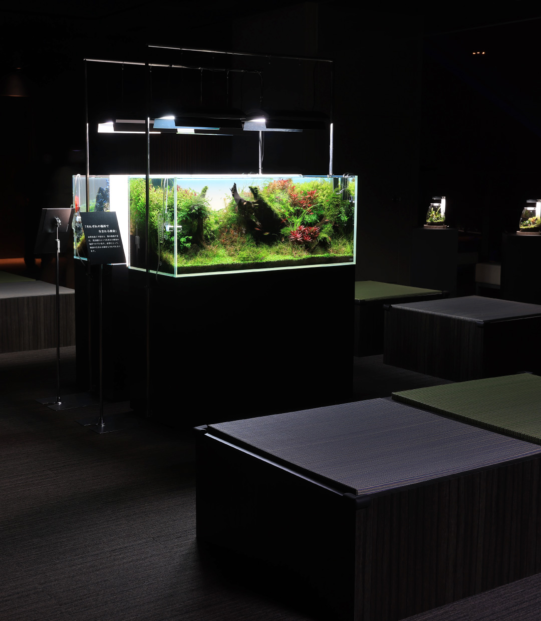 ADA EVENT REPORT  Sumida Aquarium “An aquarium where you can take a deep breath while seeing and feeling how living creatures breathe – The Breathing of Natural Aquascape”
