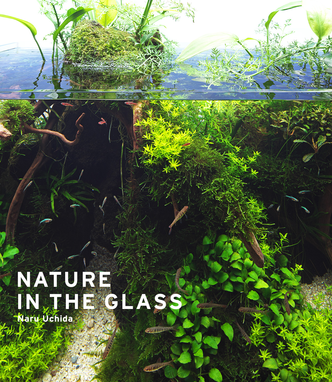 NATURE IN THE GLASS ‘Fresh Greenery in Early Summer’