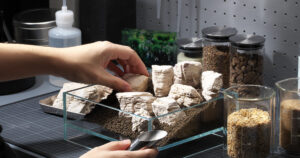 ADA NEW MATERIALS “KUMU”- A sublime time to get immersed – | en
