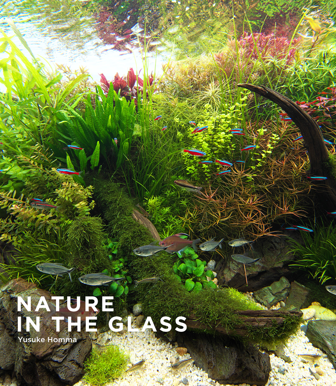 NATURE IN THE GLASS ‘Waterside Palette’