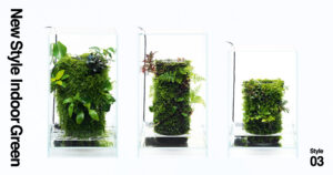 New Style Indoor Green – Style03 | en