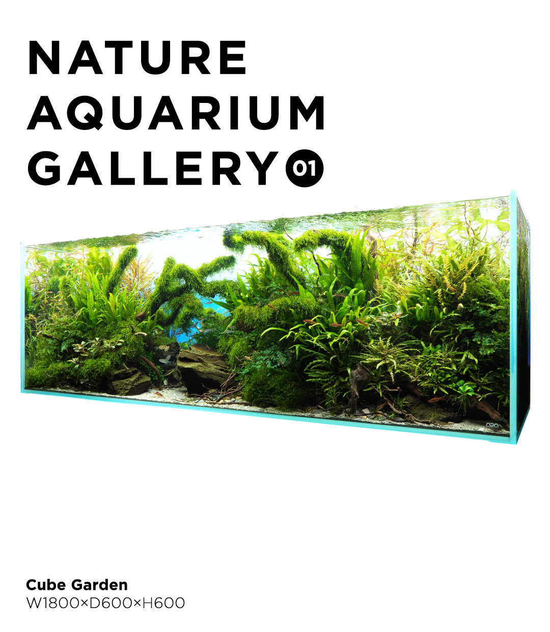 NATURE AQUARIUM GALLERY #01: Diverse Forest