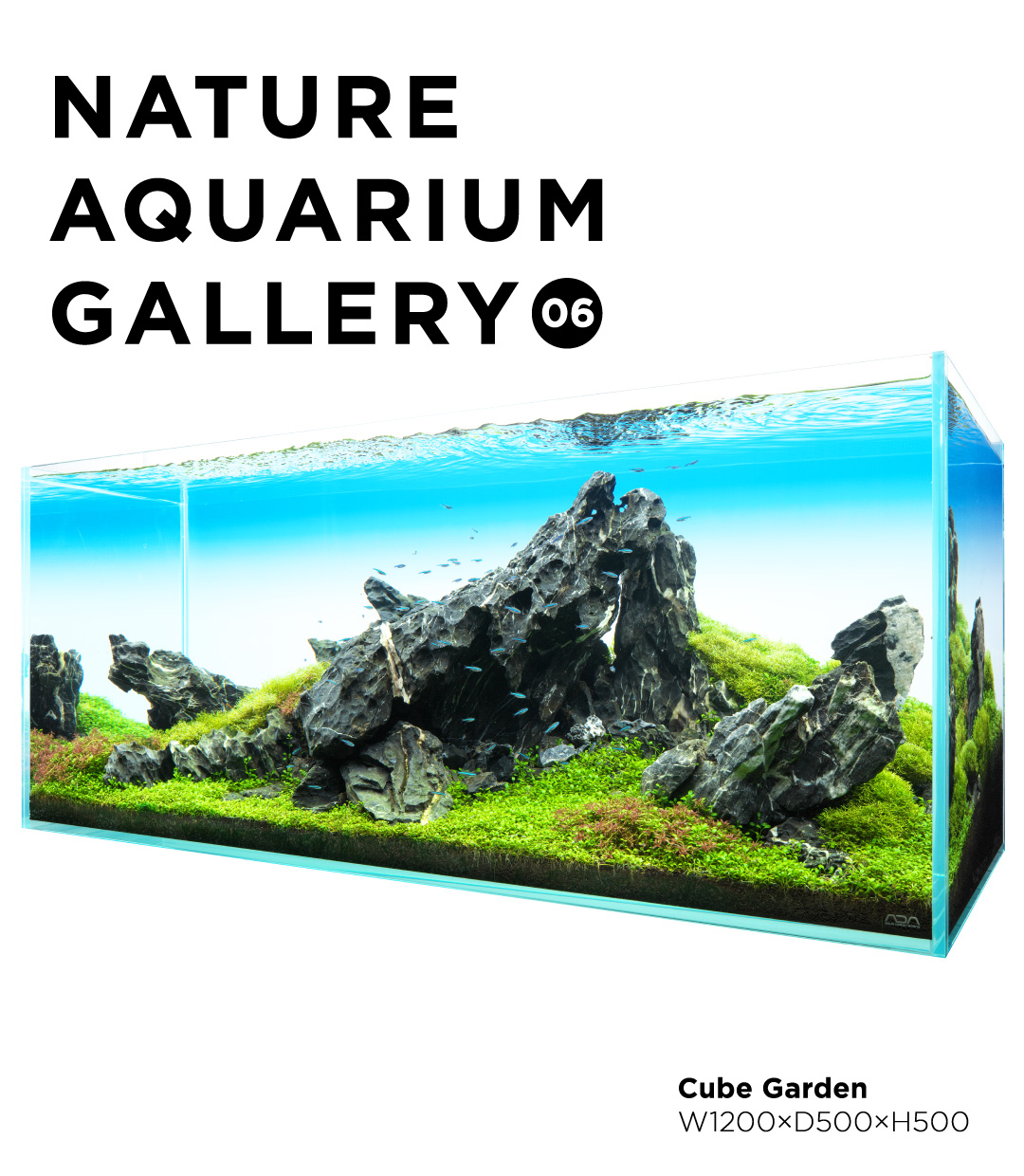 NATURE AQUARIUM GALLERY #06  “Great Wave Rock”