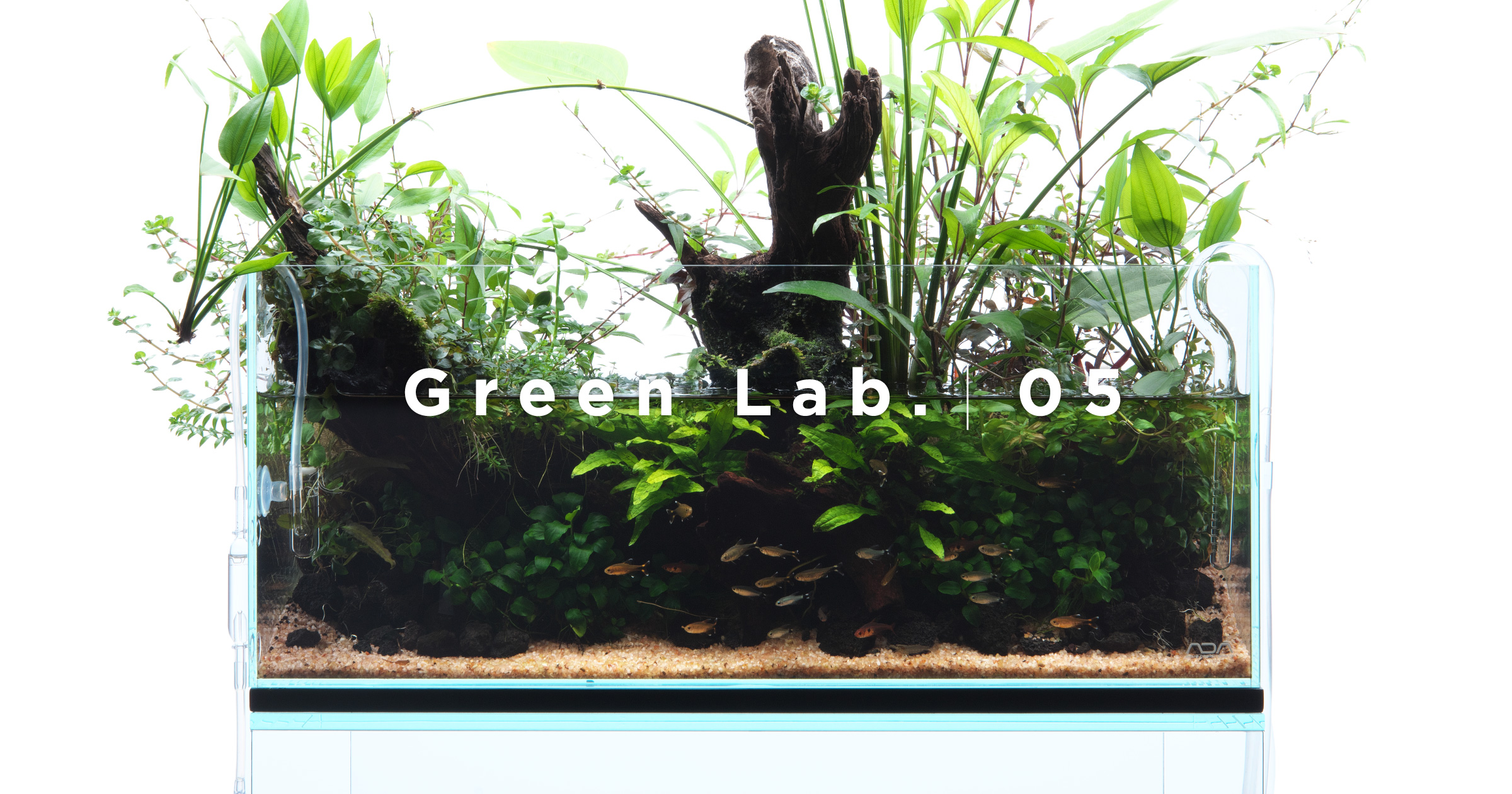 Green Lab. #06 ［ A Restful Waterside ］ | en