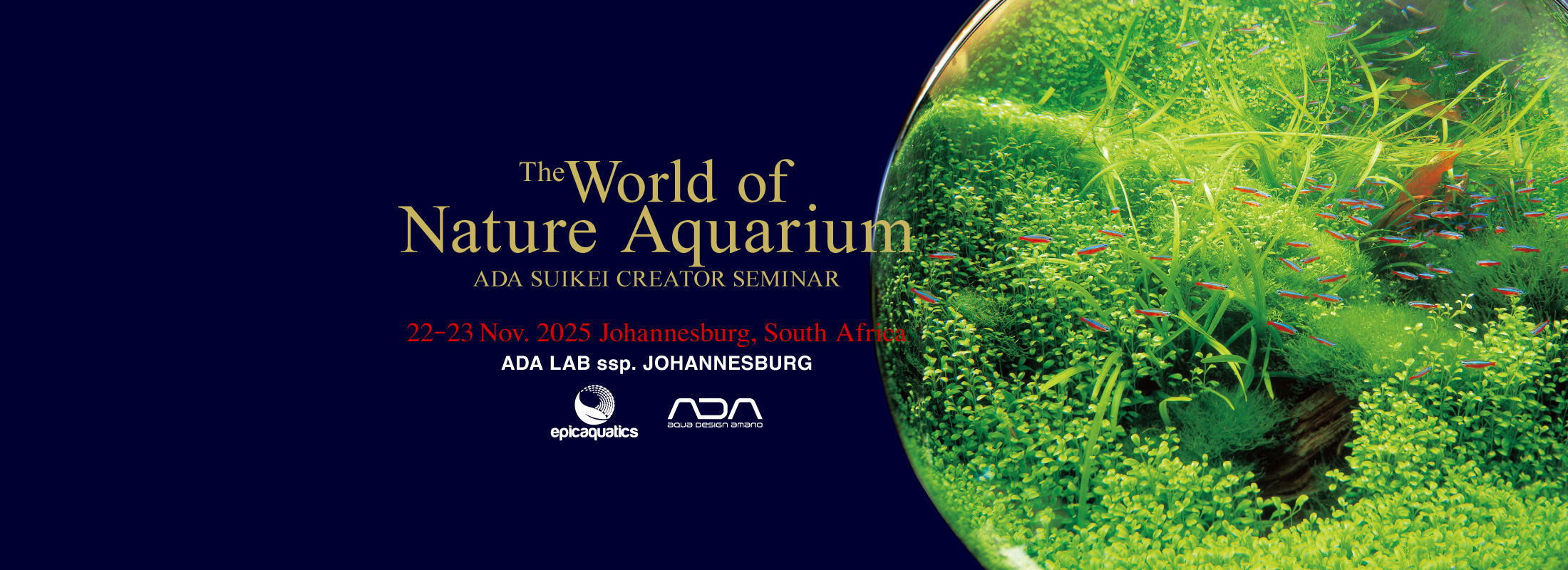 ADA EVENT REPORT: South Africa 2025