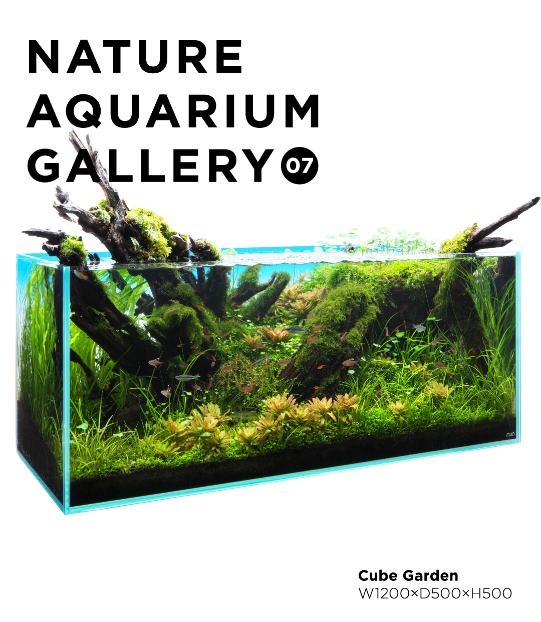 NATURE AQUARIUM GALLERY #07: Eden’s Yin and Yang