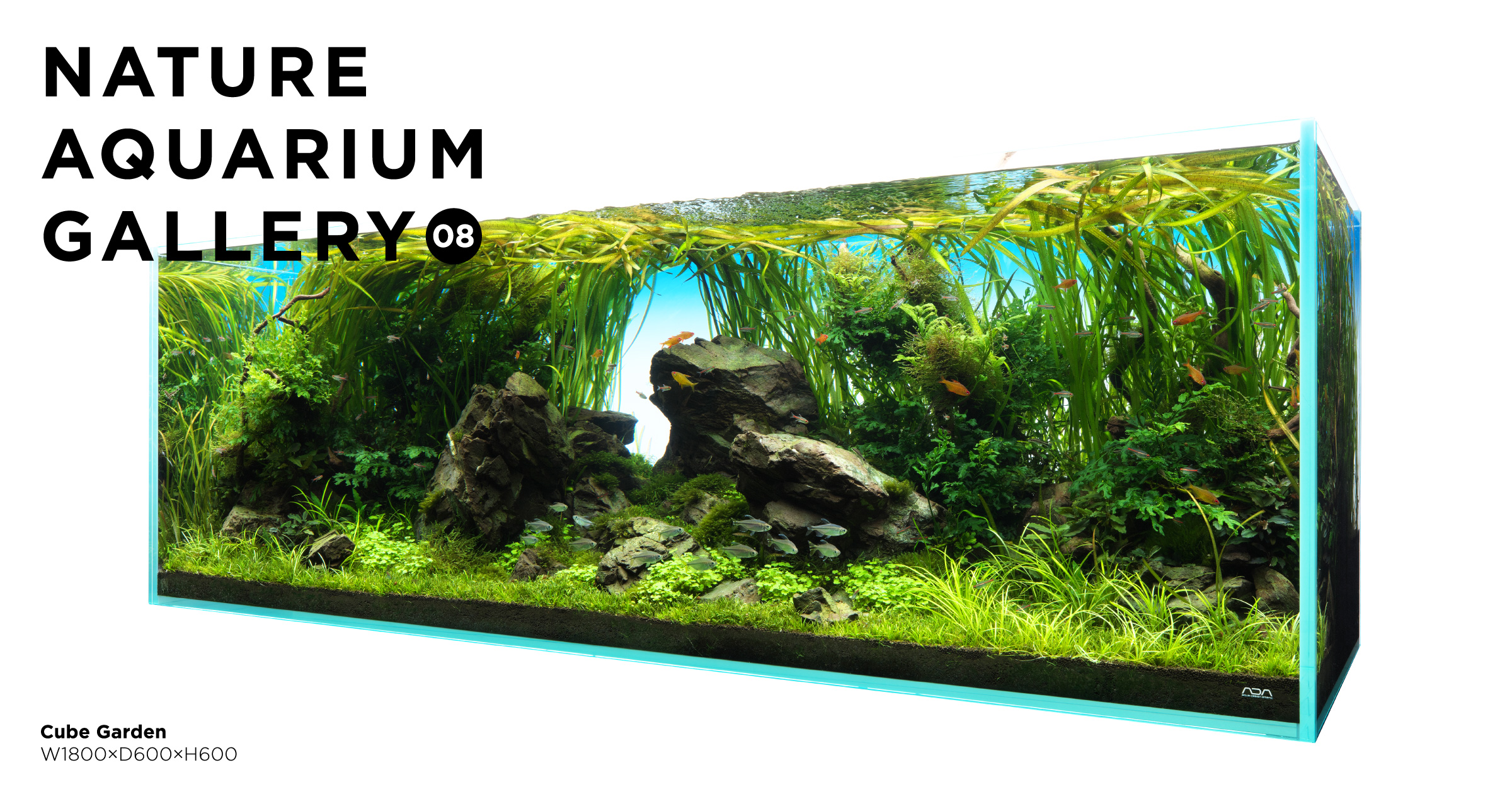 NATURE AQUARIUM GALLERY #08: Spirit of Nature | en