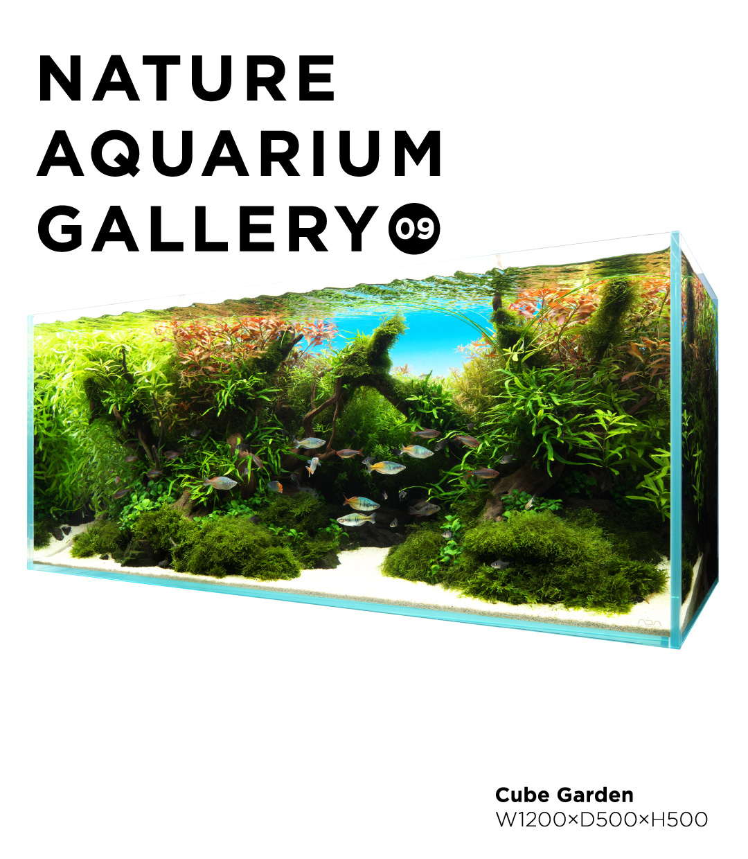 NATURE AQUARIUM GALLERY #09: “Drawn by New Growth”