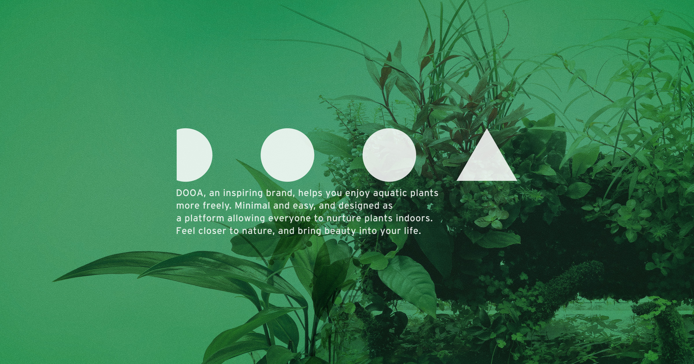 DOOA品牌网站正式开通