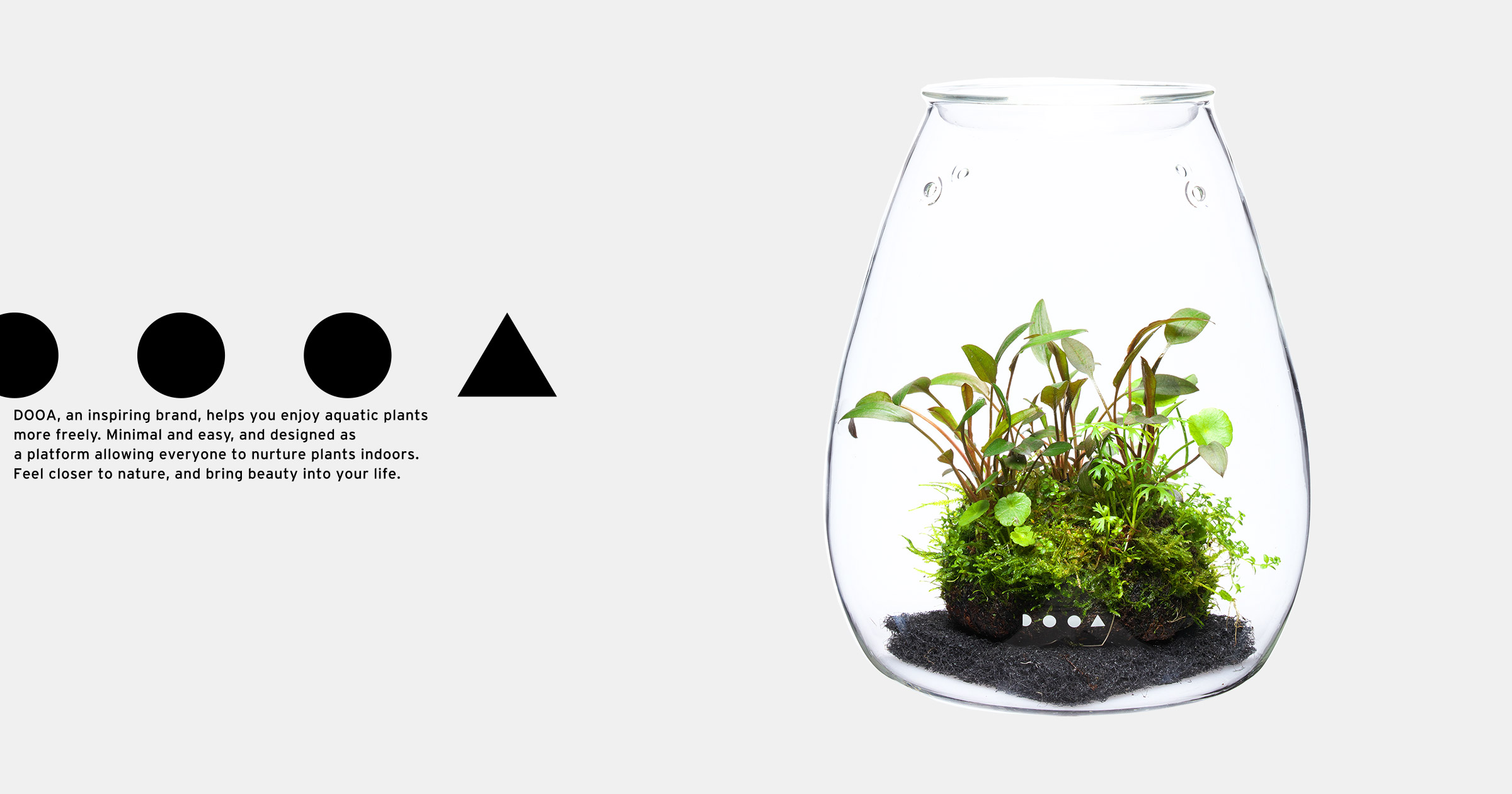 SEARCH | DOOA